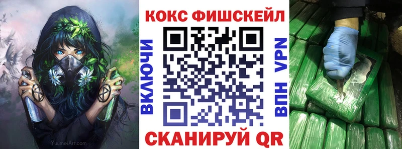 COCAIN Fish Scale  где купить наркотик  Покров 