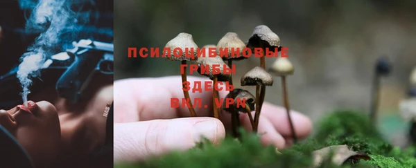 а пвп мука Армянск