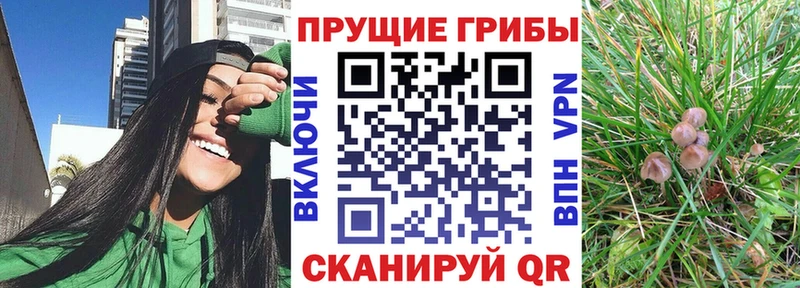 Галлюциногенные грибы ЛСД  Покров 